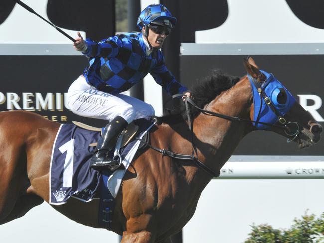 Damian Browne onboard Buffering wins the Winterbottom Stakes. Picture: Graeme Collopy