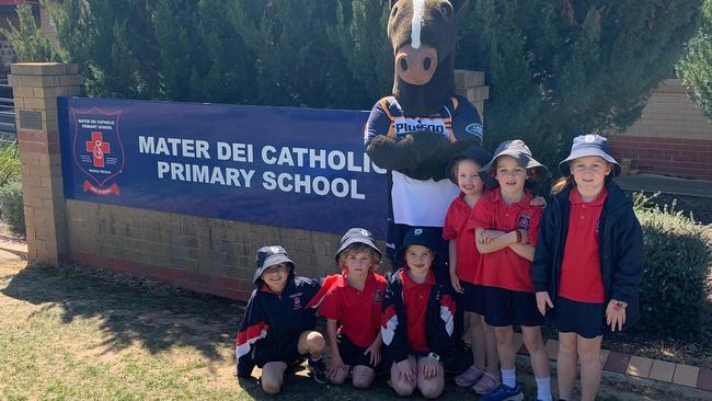 Mater Dei Primary still sits in the top half of best performing schools in Wagga in NAPLAN 2019 results. Picture: Supplied