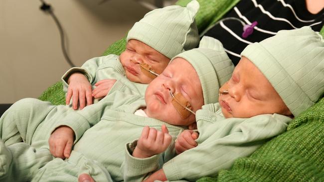 Triplets Makaio, Mahana and Manawa at TUH’s neonatal unit after their birth on October 25. Picture: Shae Beplate