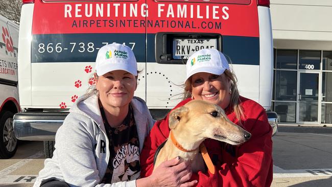 Greyhounds Unlimited President Susan Lemon and volunteer Kelly Wells at Dallas Fort Worth Airport following the arrival of Ginger Picture: Supplied