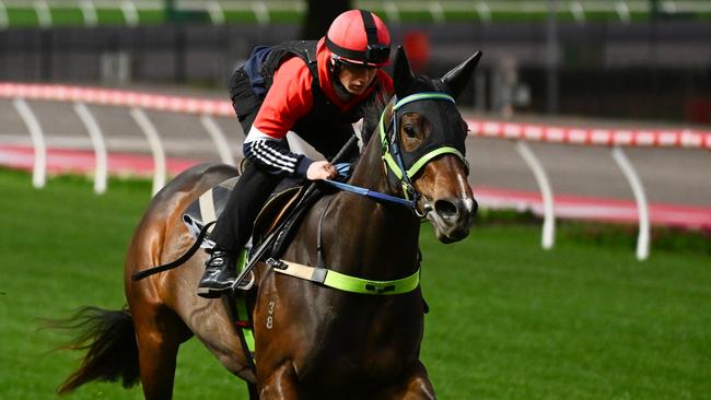 Mitchell Aitken riding Asfoora in a track gallop at The Valley on Monday morning to prepare for Friday night’s Group 1 Moir Stakes. Picture: Vince Caligiuri/Getty Images