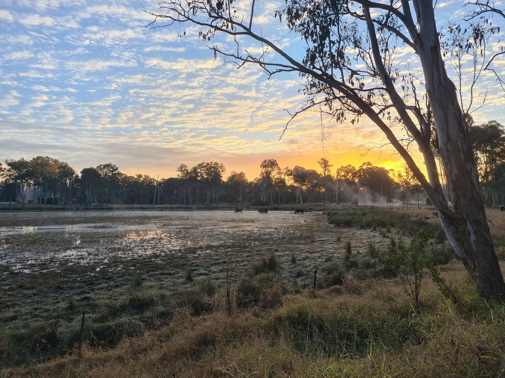 The cold mornings have created some picturesque scenes. Photo: Andrew Hedgman.