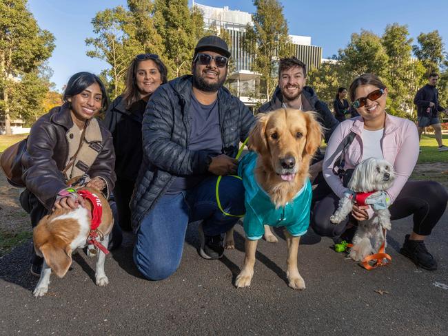 Gallery - RSPCA SA's Million Paws Walk 2024 Picture: Ben Clark. Pictured on 25th May 2025. Picture: Ben Clark
