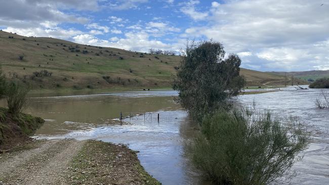 Mixed farmer Paul Nugent's property at Biggara is partially underwater after heavy rain on Thursday. Picture: Paul Nugent.