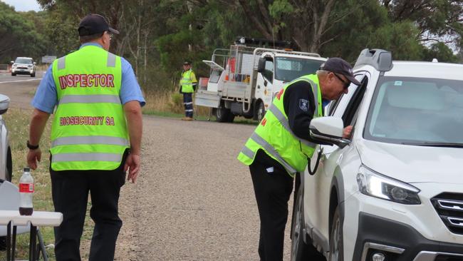 Biosecurity inspection officers at the border. Picture: Arj Ganesan