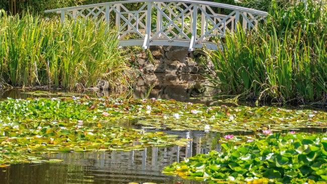 Royal Tasmanian Botanical Gardens. Picture: iStock