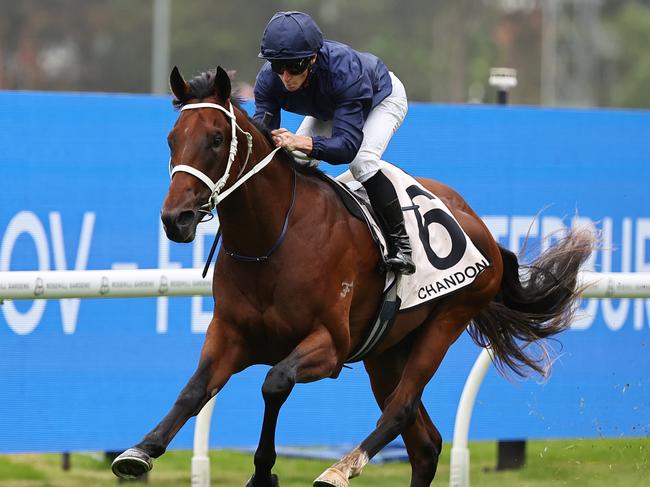 SYDNEY, AUSTRALIA - JANUARY 18:  James McDonald riding Wodeton win Race 1 Chandon Handicap during Sydney Racing at Rosehill Gardens Racecourse on January 18, 2025 in Sydney, Australia. (Photo by Jeremy Ng/Getty Images)