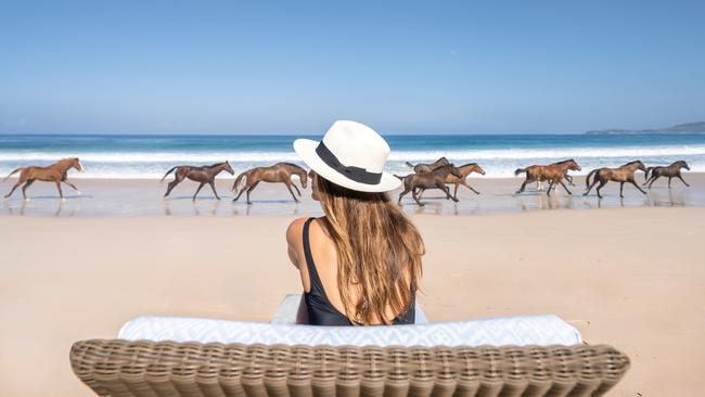 On the beach with the horses.