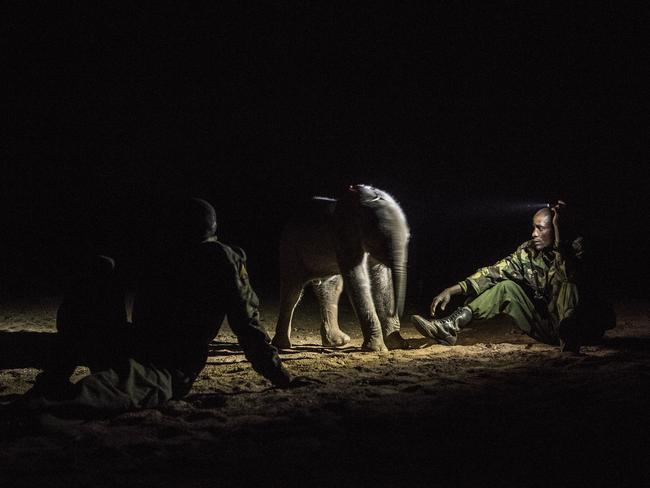 Orphaned and abandoned elephant calves are rehabilitated and returned to the wild, at the community-owned Reteti Elephant Sanctuary in northern Kenya. Picture: Ami Vitale for National Geographic/World Press Photo