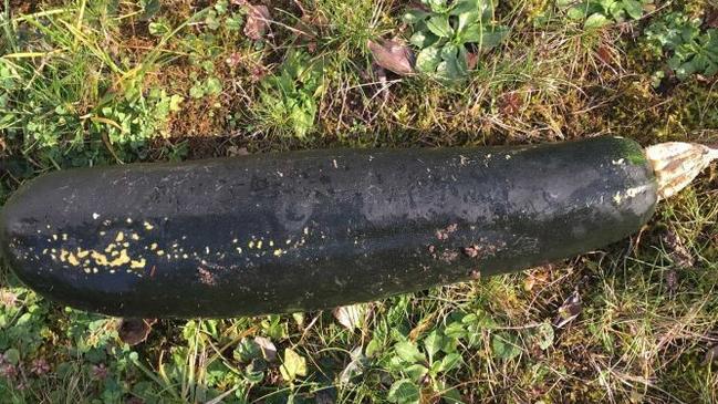 It’s easier to see why the zucchini caused confusion when you compare it to the bomb below. Picture: Karlsruhe Police/AP