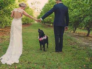 A DOG'S LIFE: Amy and Tristian Wright adopted Echo and decided to make her part of their recent wedding ceremony.