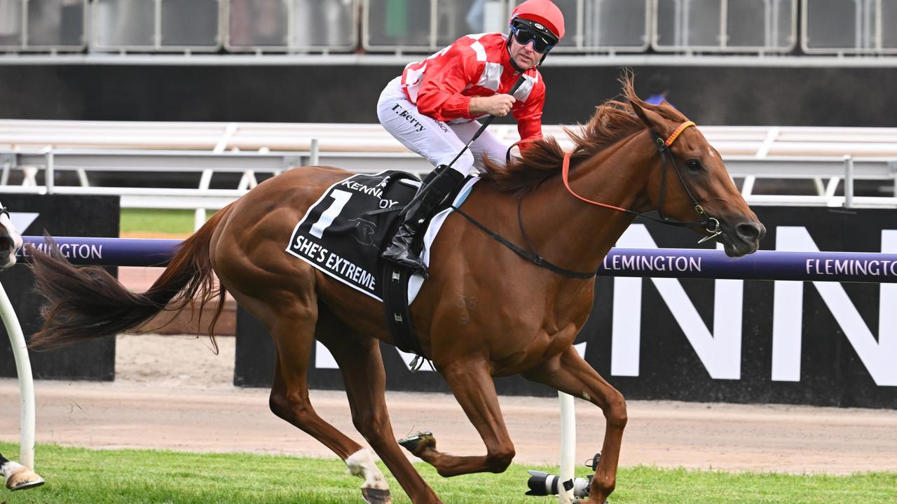 She's Extreme has proven herself in the top shelf of three-year-olds. Picture: Vince Caligiuri–Getty Images