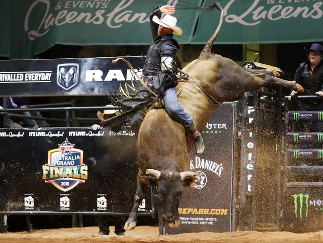 *BEST OF SPORT 2019*Budd Williamson rides Rata Tat Tat . 2019 PBR Australian Grand Finals in Townsville, Queensland. Picture: Alix Sweeney