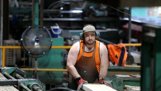 Jobs cut down: Timber workers are being pushed out of Victoria’s Central Highlands to make way for the Great Forest National Park. Picture Yuri Kouzmin