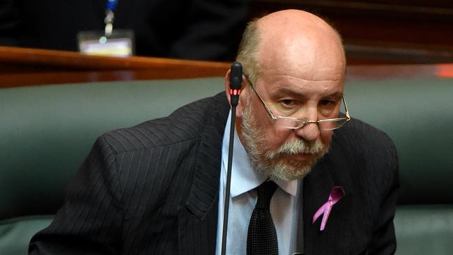 Don Nardella in state parliament last term. Picture: Nicole Garmston