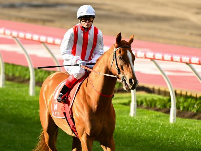 MELBOURNE, AUSTRALIA - SEPTEMBER 09: Craig Williams riding Giga Kick before finishing third behind Imperatriz in Race 8, the Mittys McEwen Stakes, during Melbourne Racing at Moonee Valley Racecourse on September 09, 2023 in Melbourne, Australia. (Photo by Vince Caligiuri/Getty Images)