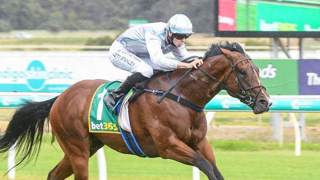 Celui can resume with a win at Bendigo on Wednesday. Picture: Brett Holburt/Racing Photos via Getty Images