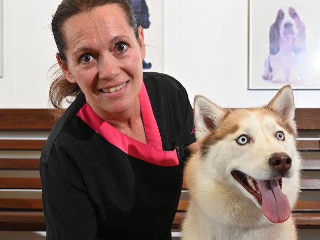 SA’s best dog groomer revealed