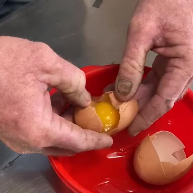 The second egg contained a boring old yolk. Picture: Facebook / Freckle Farm