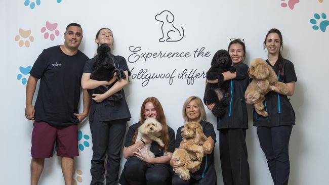 Hollywoof has been named as the winner of Gold Coast Bulletin’s best dog groomer on the Gold Coast. Picture: Glenn Campbell