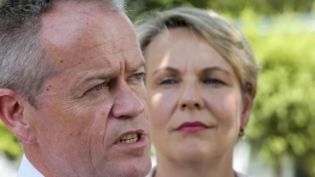 Behind you, Bill! The proof is in the polling ... Tanya Plibersek is the people’s choice as preferred leader of the Labor Party. Photo: AAP