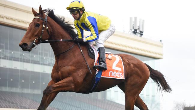 Lindsey Smith bemused about Mystery Shot’s Flemington flop. Picture: Getty