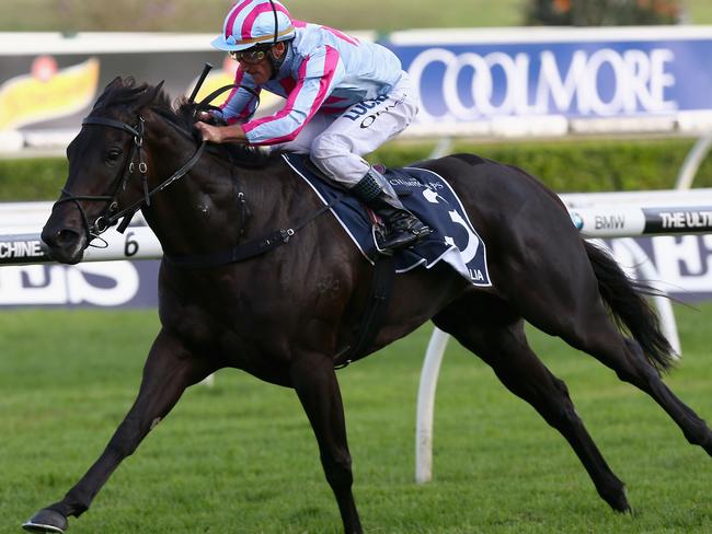 Azkadellia has pulled up with no problems despite her flop in the Stradbroke. Picture: Getty Images