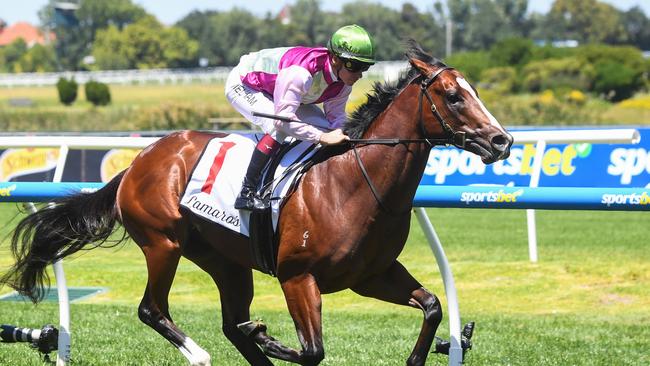 Matt Laurie was confident Coleman would win. Picture: Pat Scala/Racing Photos via Getty Images