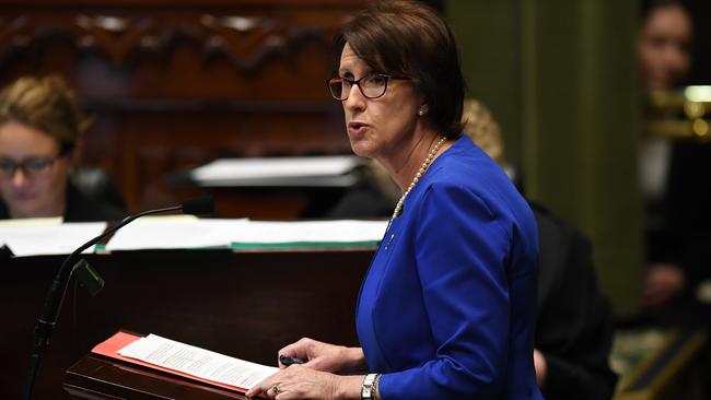 Port Macquarie MP Leslie Williams speaks in NSW Parliament. Picture: Joel Carrett