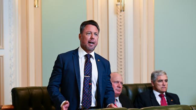 Hinchinbrook MP Nick Dametto in state parliament.