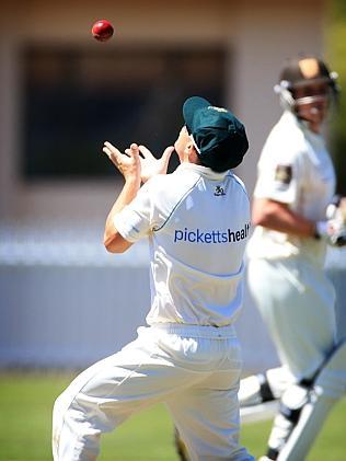  Dave Warner takes a catch grade cricket for Randwick-Petersham at Waverley Oval. Picture: Nic Gibson