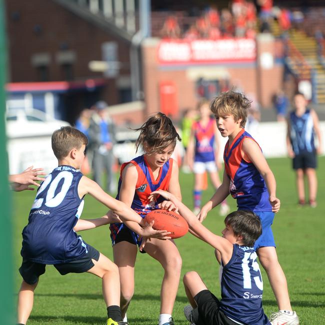 Port Melbourne Football Club Lahiff Cup at north port oval between Middle Park Primary school and Port Melbourne Primary School. Picture: Susan Windmiller