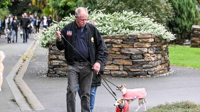 Million Paws Walk at Adelaide Botanic Gardens. Picture: Brenton Edwards