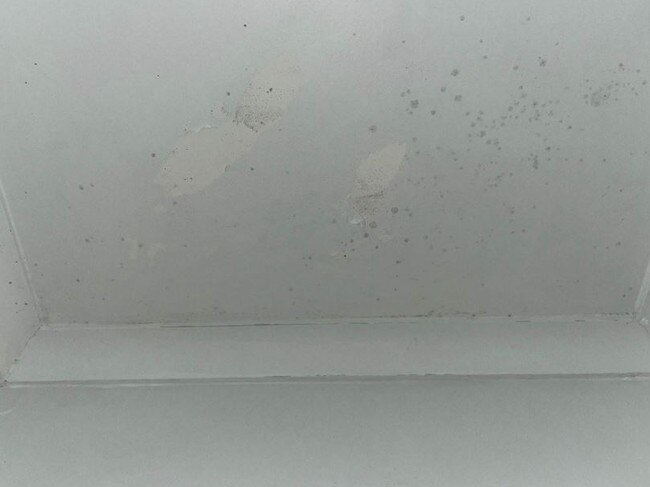 This was the ceiling of the master bedroom. Picture: Maddie Graham/Supplied