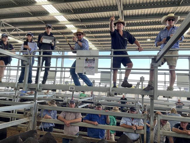 Bidding action at the Ballarat female sale.