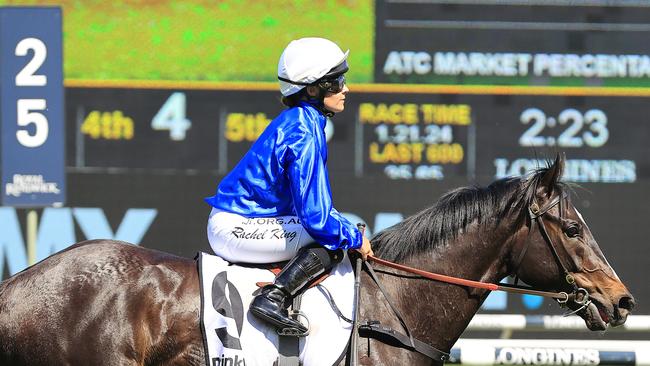 Criaderas returns to scale the Drinkwise Handicap. Picture: Mark Evans/Getty