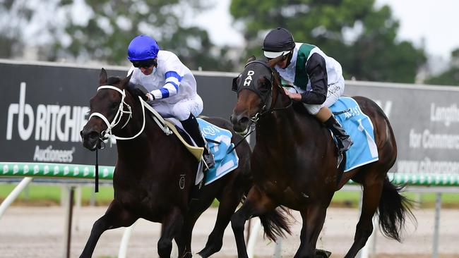 Finance Tycoon is into the Magic Millions after winning at the Gold Coast on Saturday. Photo: Grant Peters, Trackside Photography