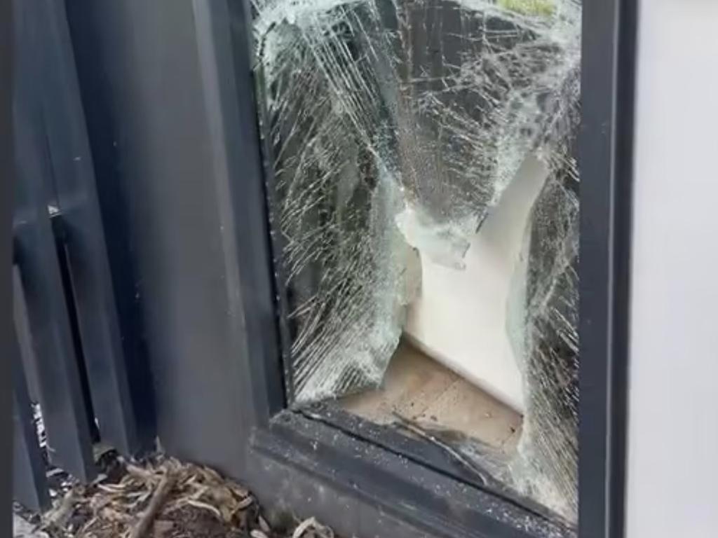 The deer had seen its reflection in the window next to their door and assumed it was another stag in its territory, causing it to charge at the window and crash through it.