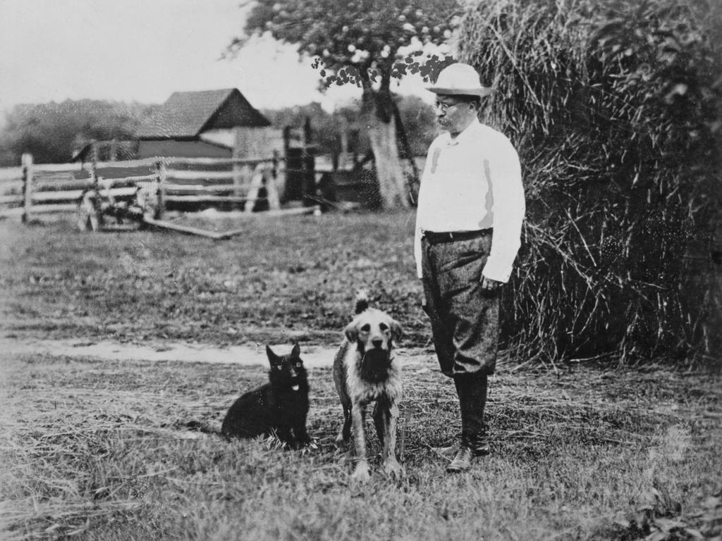 American statesman and politician Theodore Roosevelt. (Photo by Frederic Lewis/Archive Photos/Getty Images)