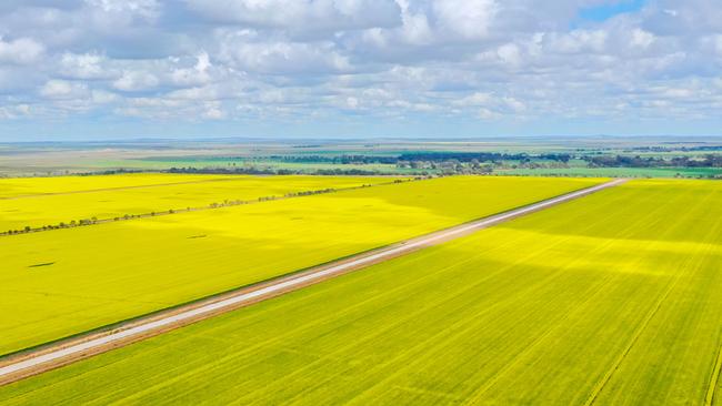 Torrumbarry Farms has been used for dairy heifer rearing and extensive cropping.