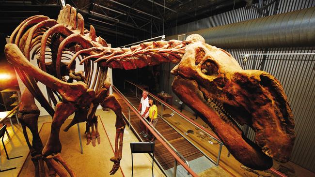 Muttaburrasaurus at Flinders Discovery Centre in Hughenden, QLD.