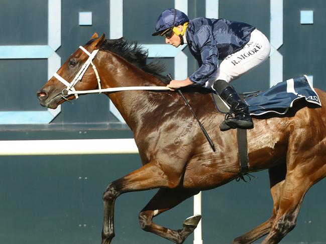 SYDNEY, AUSTRALIA - MARCH 18: Ryan Moore riding Shinzo wins Race 8 The Golden Slipper during the Longines Golden Slipper Day - Sydney Racing at Rosehill Gardens on March 18, 2023 in Sydney, Australia. (Photo by Jeremy Ng/Getty Images)