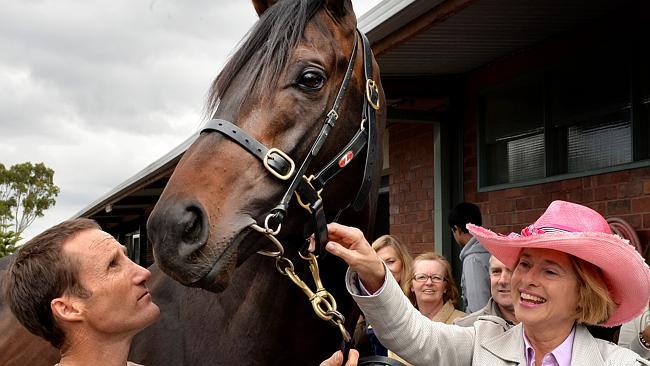 PicGai Waterhouse and Damian Oliver with Melbourne Cup Favorite, Fiorente at Gai's Flemington Stables.