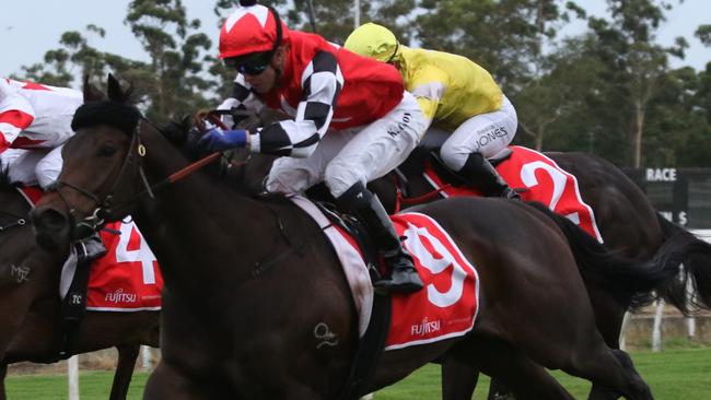 Shayne O'Cass rates Italian Informant hard to beat at Randwiock on Saturday. Picture: Grant Guy