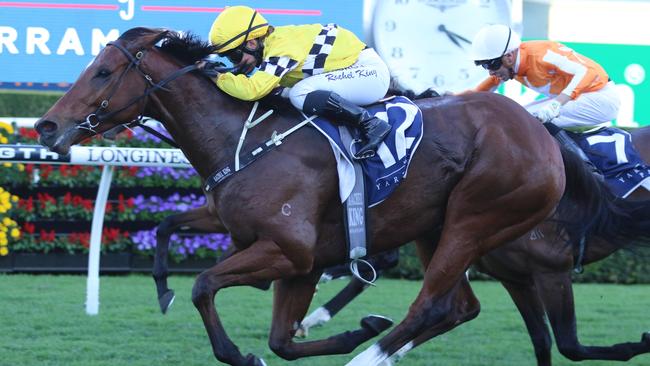 Rocha Clock is the one to beat in the Group 2 Hot Danish Stakes. Picture: Grant Guy