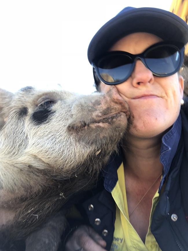 Alison Meaney and Kevi the pig from the Clare Valley. Picture: Supplied