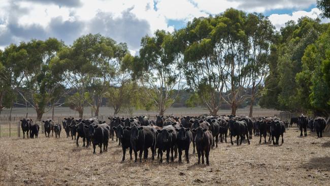 The Rossander portfolio was offered to the market in June with land banking and subdivision benefits alongside existing mixed farming land.