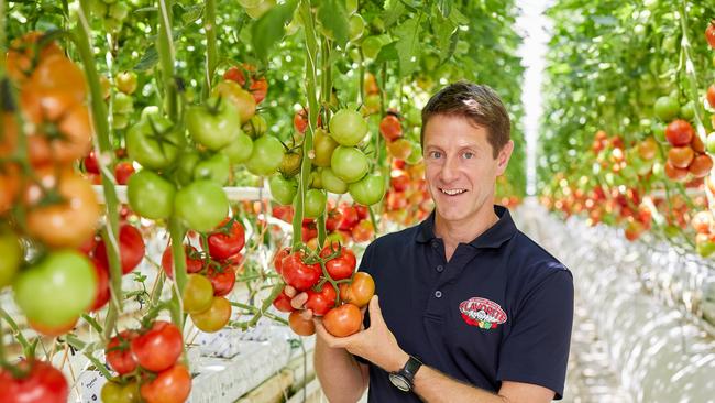 Flavorite chief executive Chris Millis in a glasshouse.