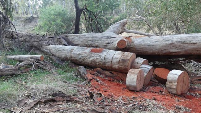 Timothy Soares of Kyabram was prosecuted for damage caused to native habitats through logging and fire.