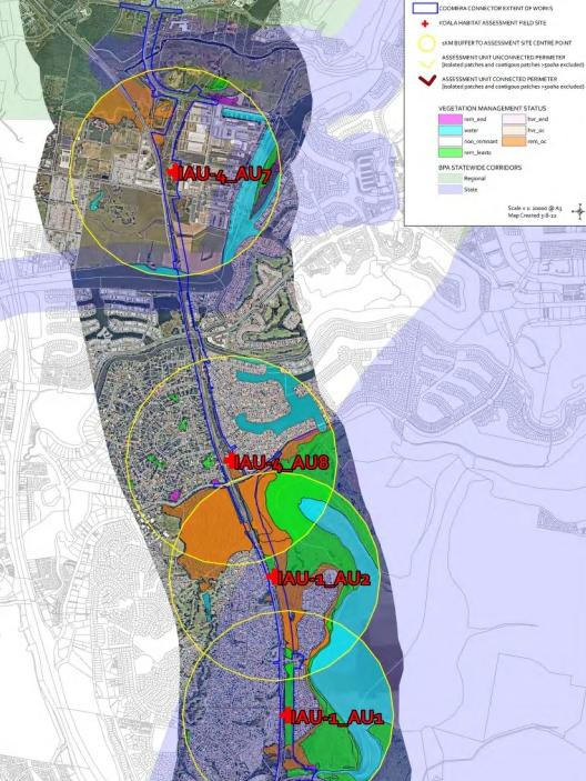 Koala habitat near residential areas along the planned Coomera Connector.